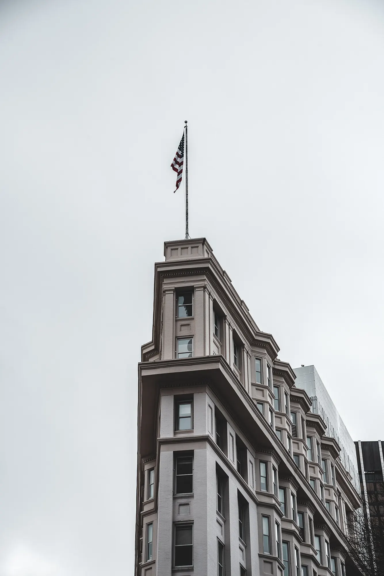 Atlanta Dog Training Programs Board and Train, InHome Training, Basic