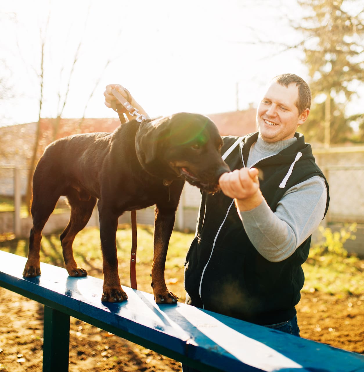 Cynologist training sniffing dog on playground