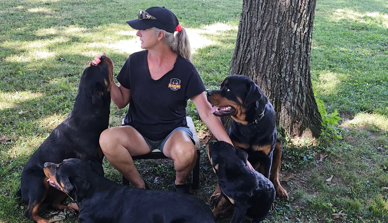 nashville dog trainer kris phillips