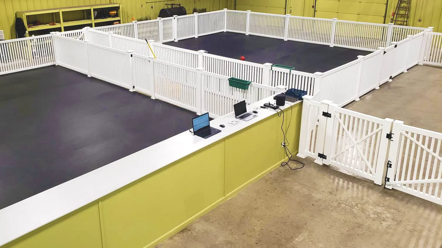 overnight dog daycare and boarding near me