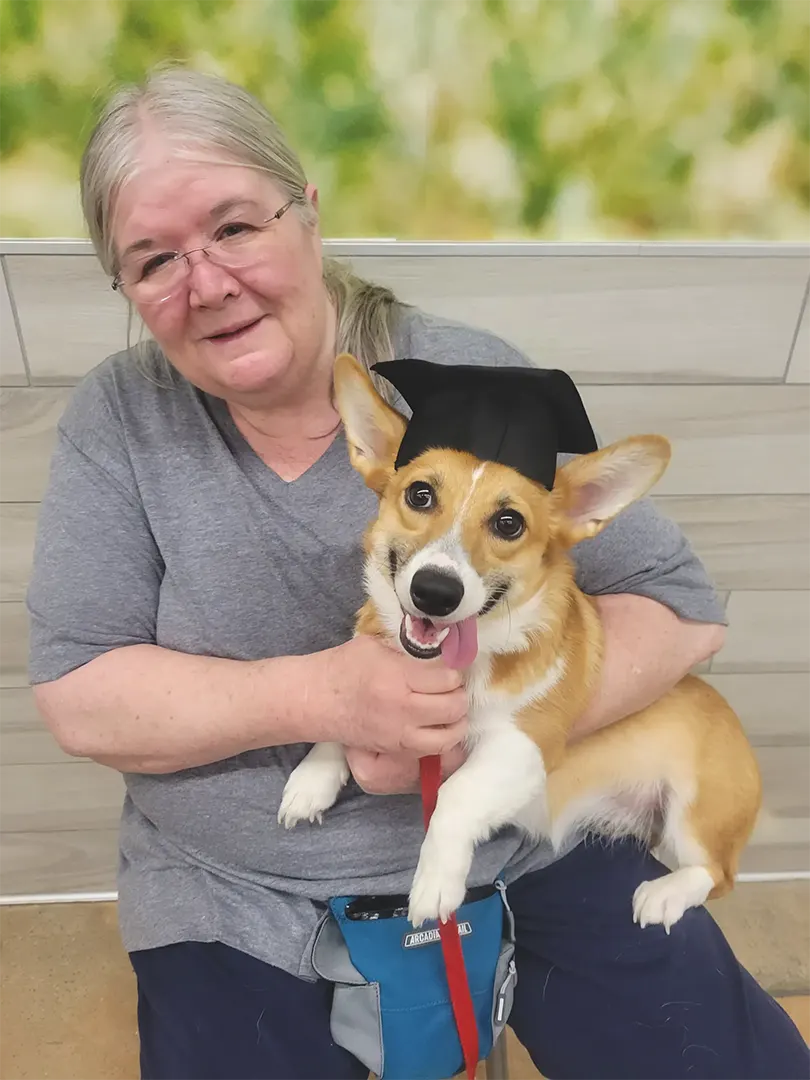 advanced-obedience-group-classes-01