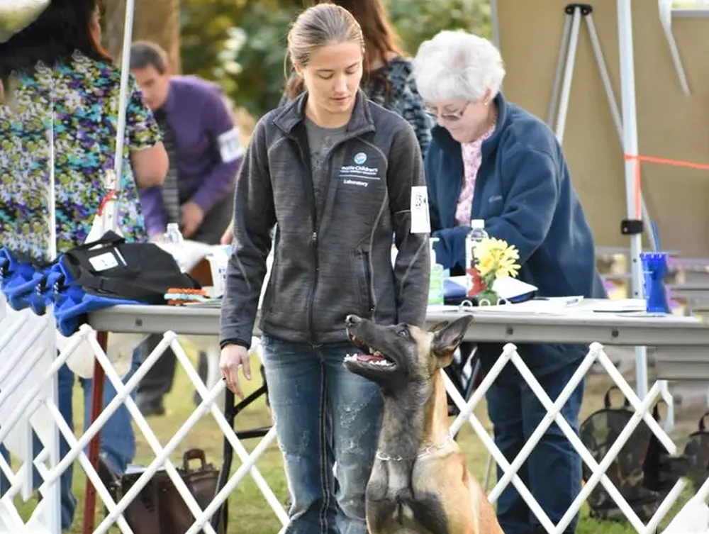 houston basic obedience training