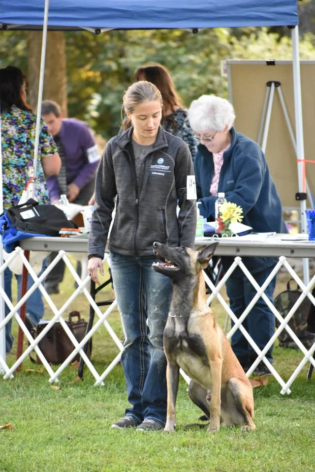 balanced dog training seattle tacoma lakewood