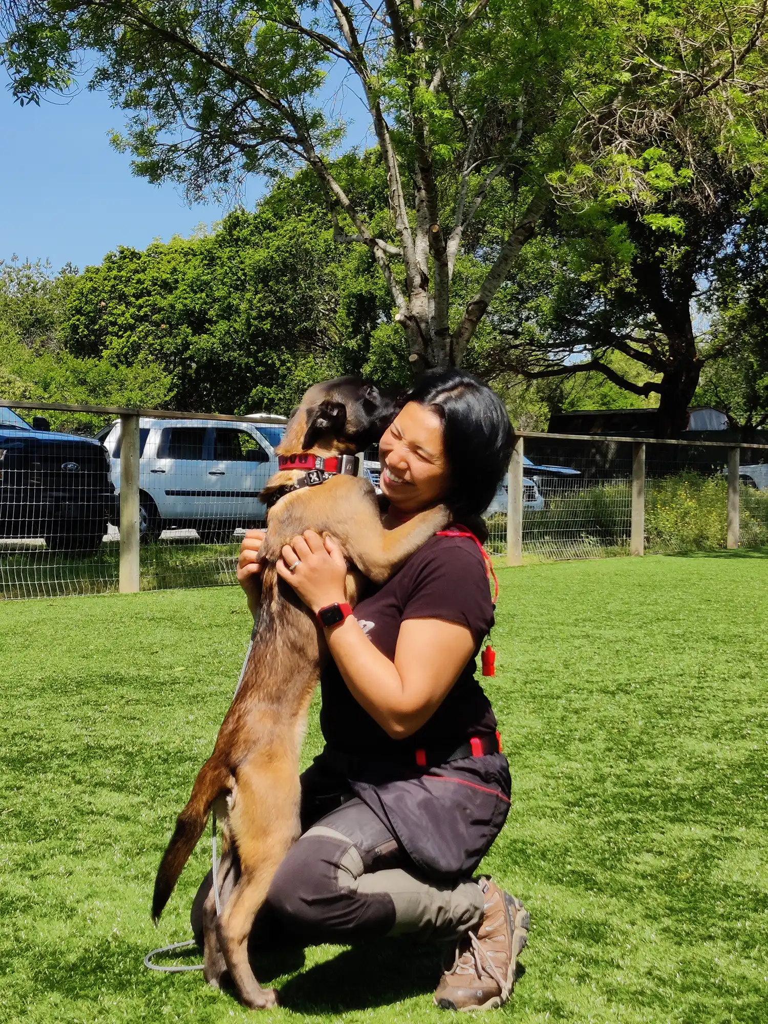 dog obedience training near nashville