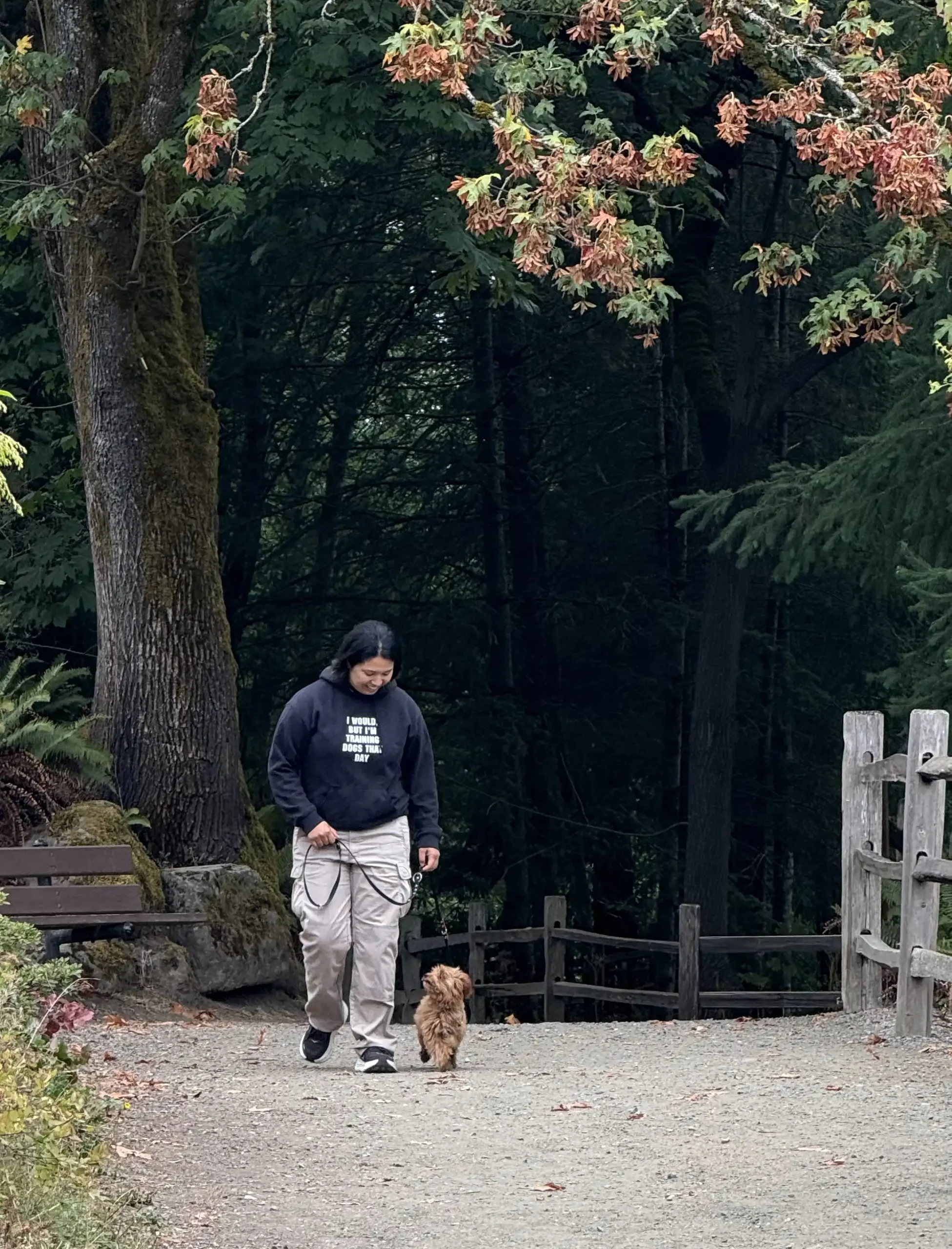 dog training murfreesboro