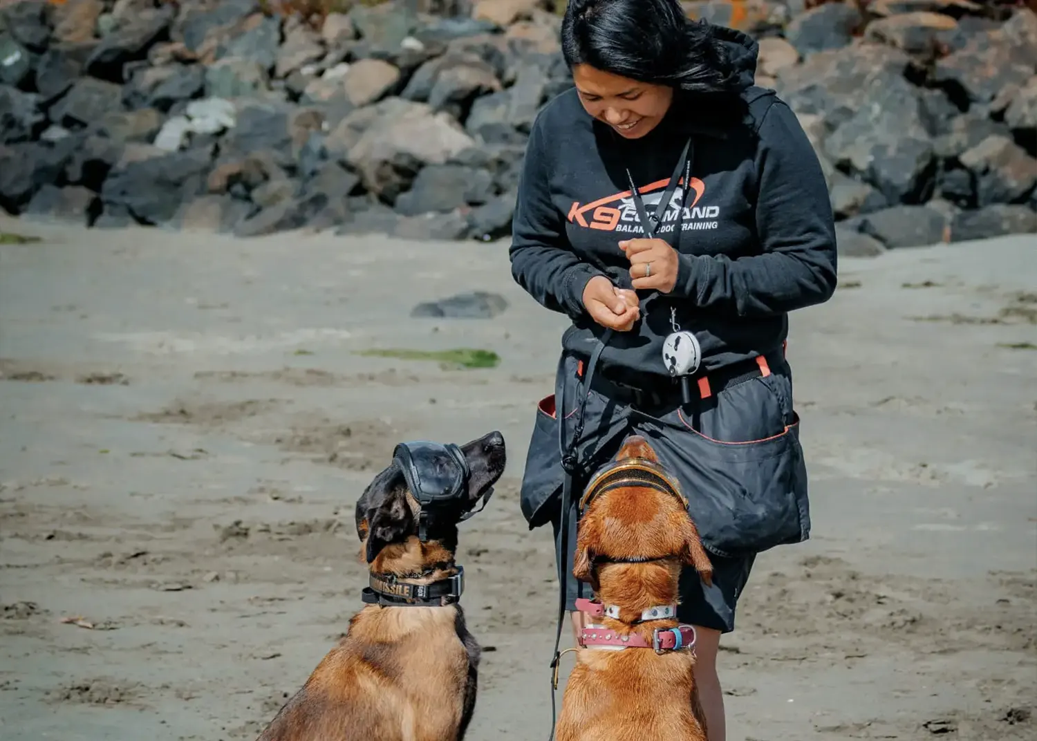 basic obedience training nashville