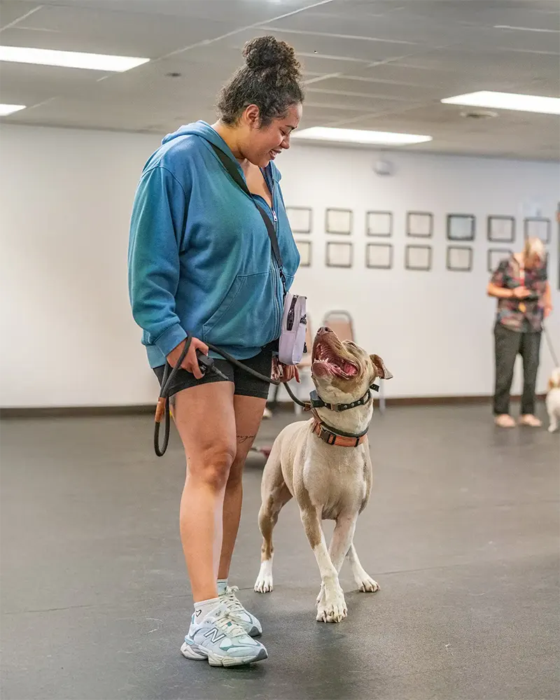 Dog Trainers in Kennewick