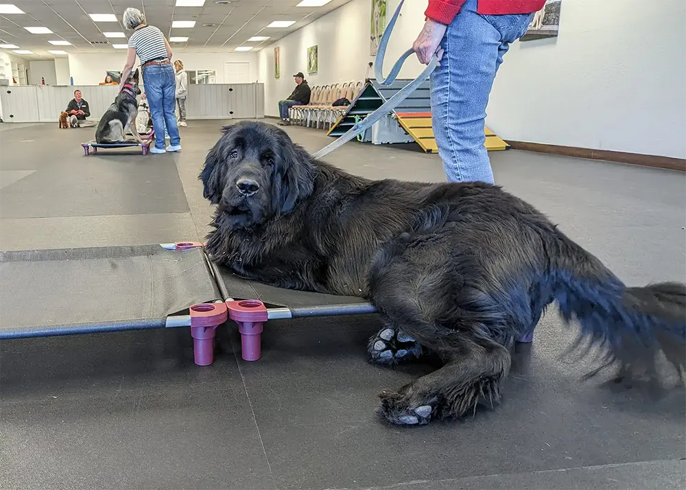 Local Group Class Training