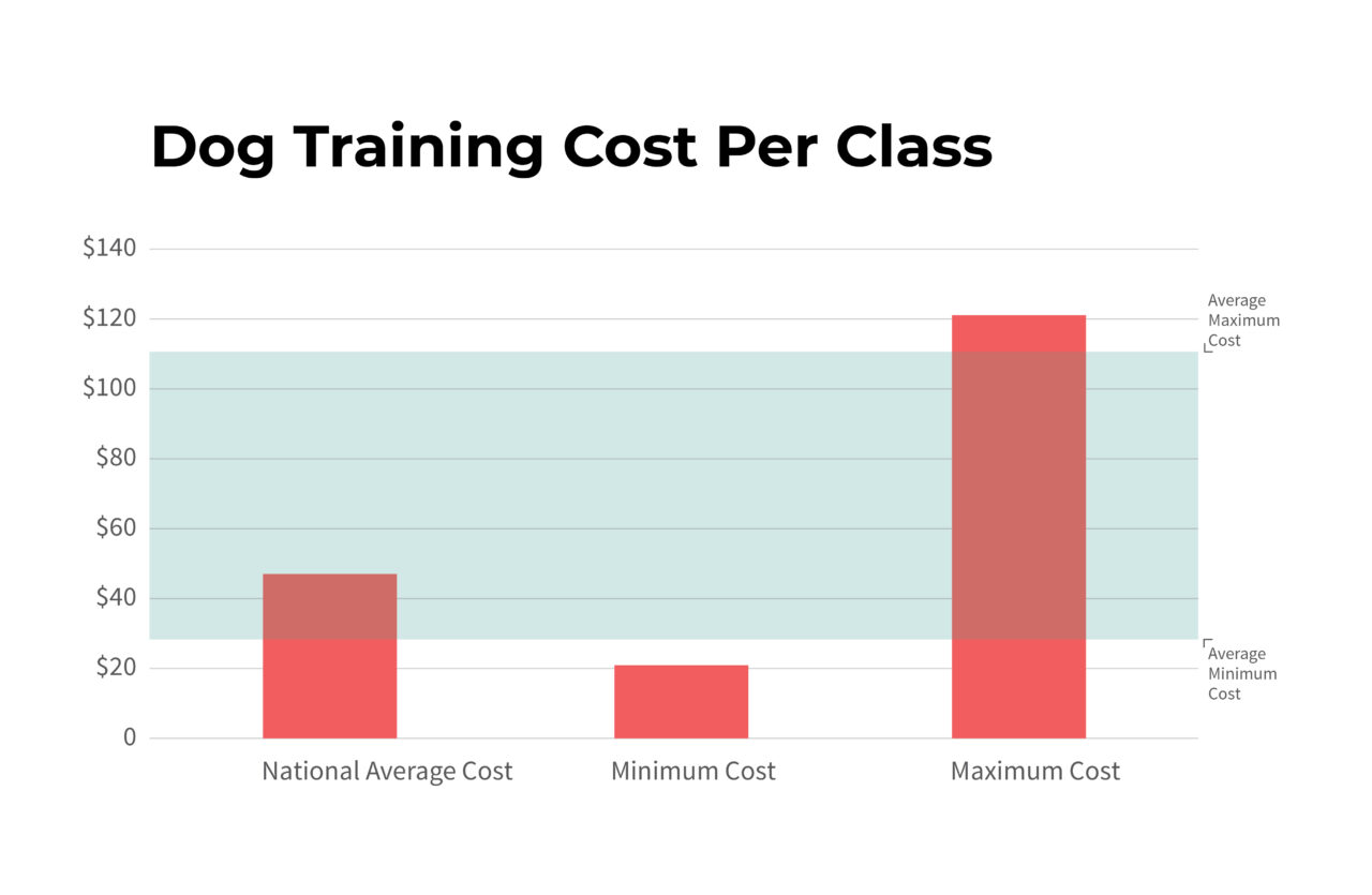 Ultimate Guide to Calculating Dog Training Cost Life Unleashed