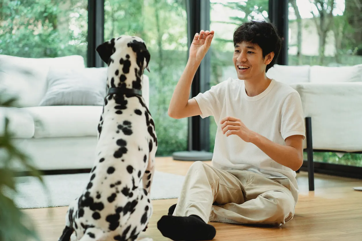 dog trainer instructing a dog during in-home training session