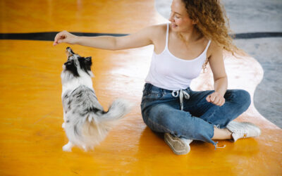 Dog Trainers vs Dog Behaviorists: What’s Better for Your Dog?