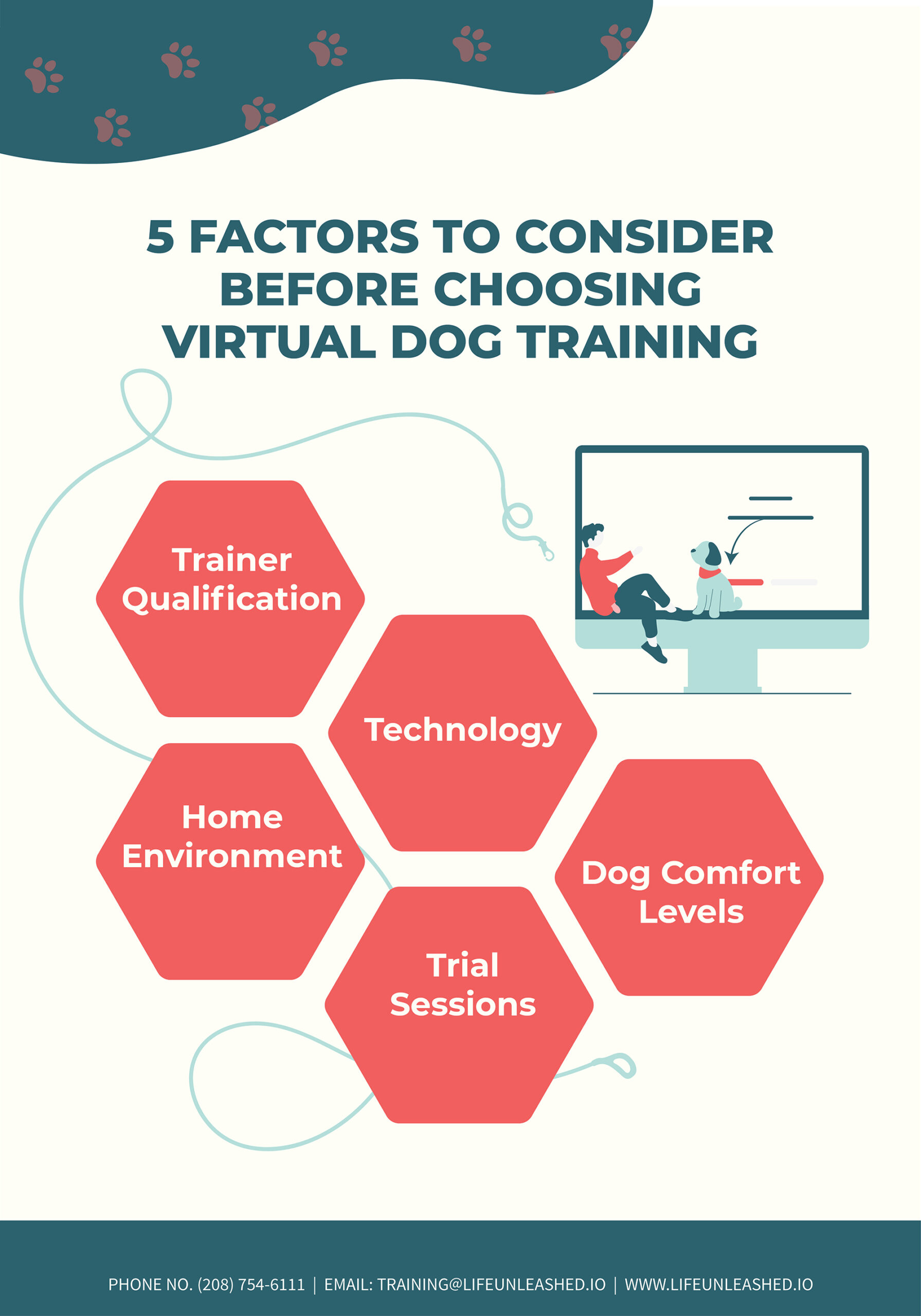 virtual dog training