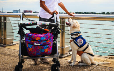 How Can Your Dog Become A Service Dog?